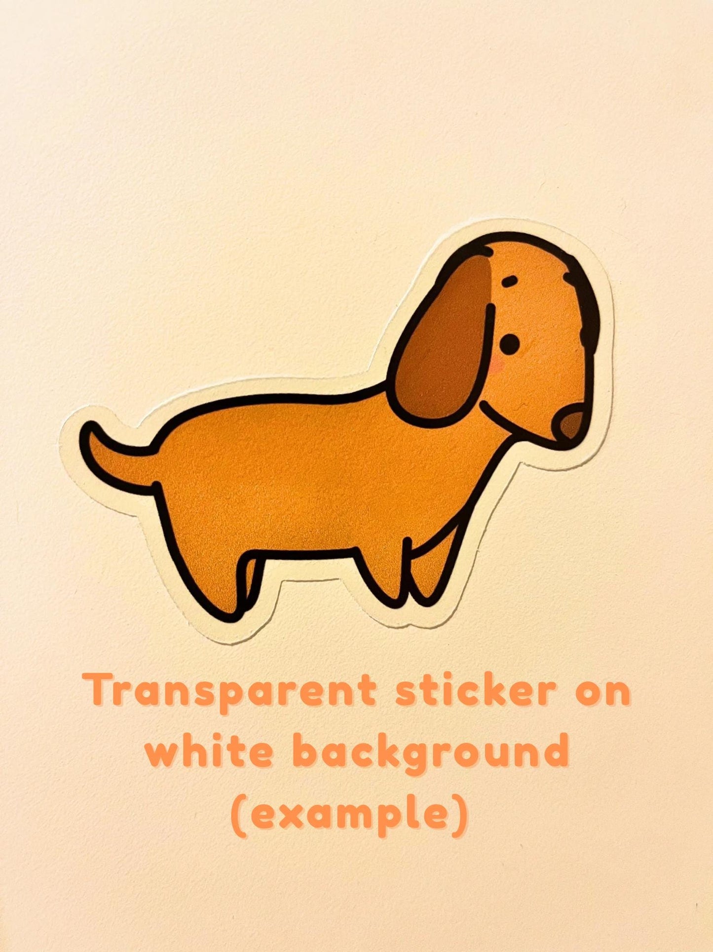 Safari Animals Sticker Collection