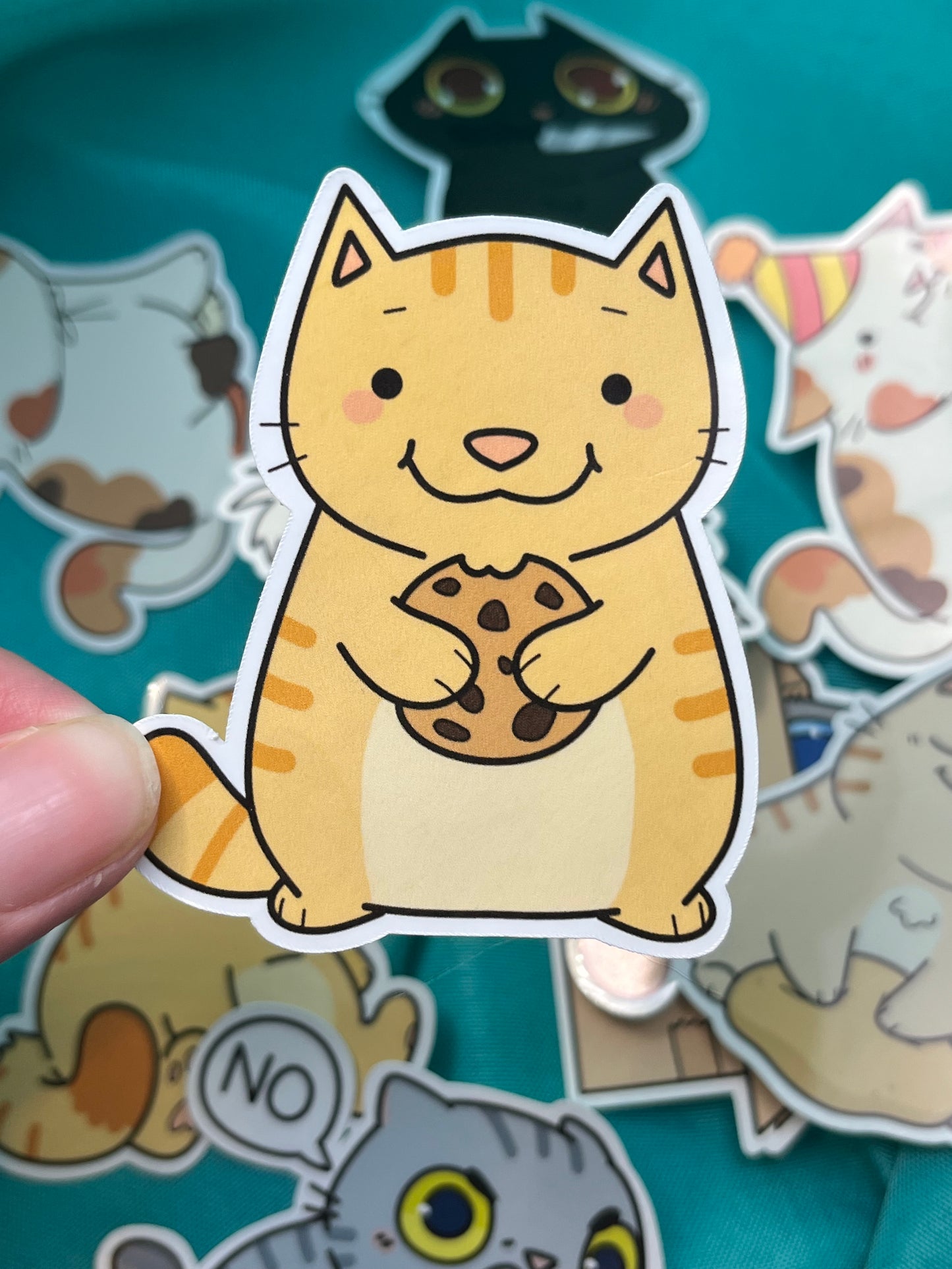 Hungry Cat Sticker