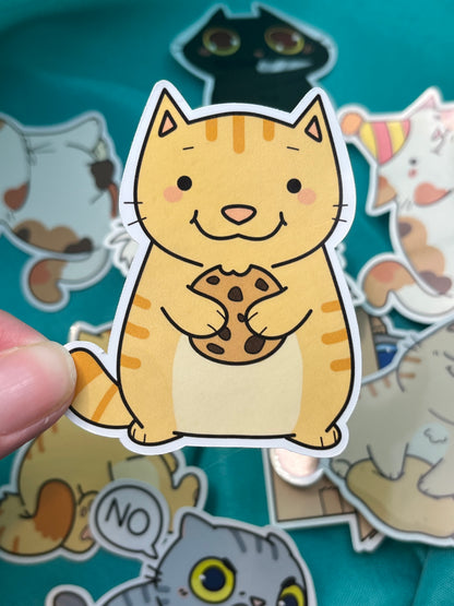 Silly Cat Sticker Collection