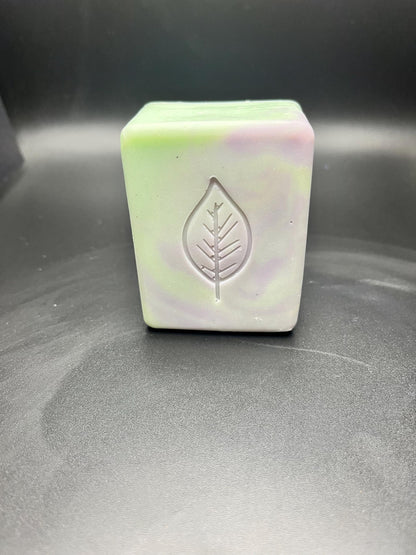 Tea Tree & Succulent Cold Process Soap